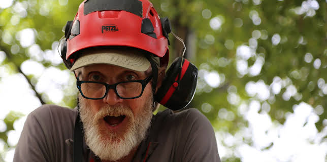 14:00: Hus i tretoppene (S7 E3) (S7) | Animal Planet | 12/11 2025