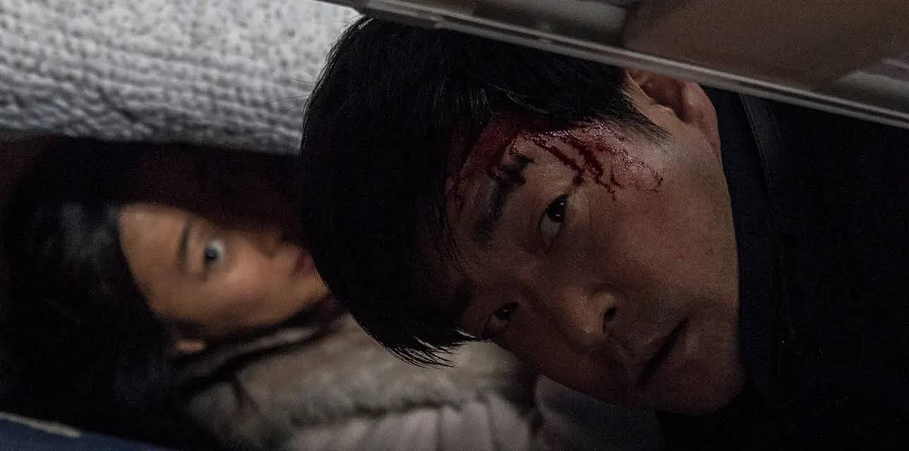 Hide and Seek (2013)