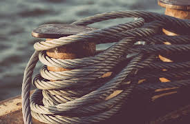 The Black Death: The World's Most Devastating Plague: The Black Death’s Ports of Entry