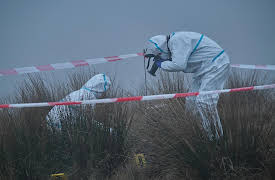 Ridley, Season 1: Hospitality, Part 1