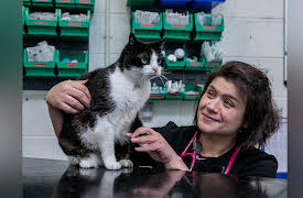 Animal Emergency: Episode 3