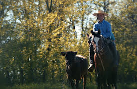 Colonia Dignidad: Chiles tyska sekt: Nedgång och fall