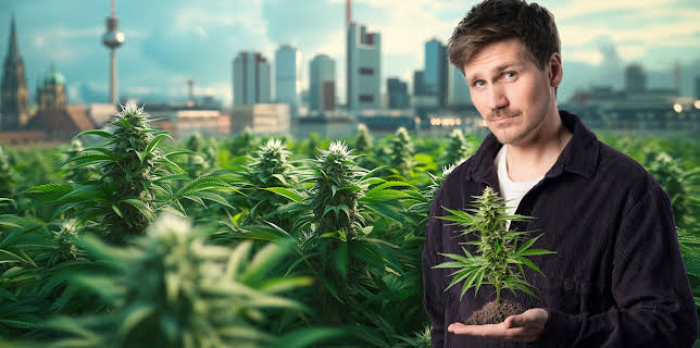 21:00: Die Cannabis-Bilanz - Wie viel kiffst du, Deutschland? | WDR Fernsehen | 3/5 2026