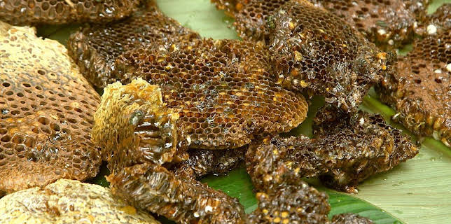 17:27: Die Bienenflüsterer | Arte | 11/28 2025