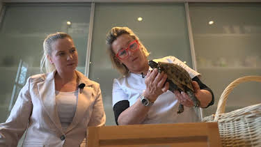 20:15: Die Tier-Docs! Pfotenhelden mit Herz | Sat1 Gold | 10/15 2026