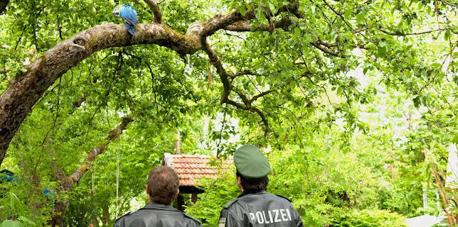 15:10: Hubert und Staller (1) | NDR Fernsehen | 1/16 2026