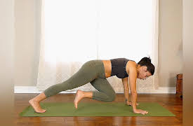 At Home Ab and Core Workout Challenge for a Flat Belly | Eliz Fitness with Fit Moms: Master