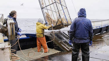 1:00 AM: Deadliest Catch (S17) | Discovery Channel | 7/17 2026