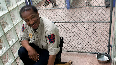 10:20: Animal Cops Philadelphia (S12 E15) (S12) | Animal Planet | 5/11 2026