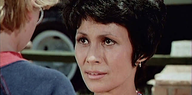 15:35: Petrocelli (S02/E03) | One | 2/28 2026