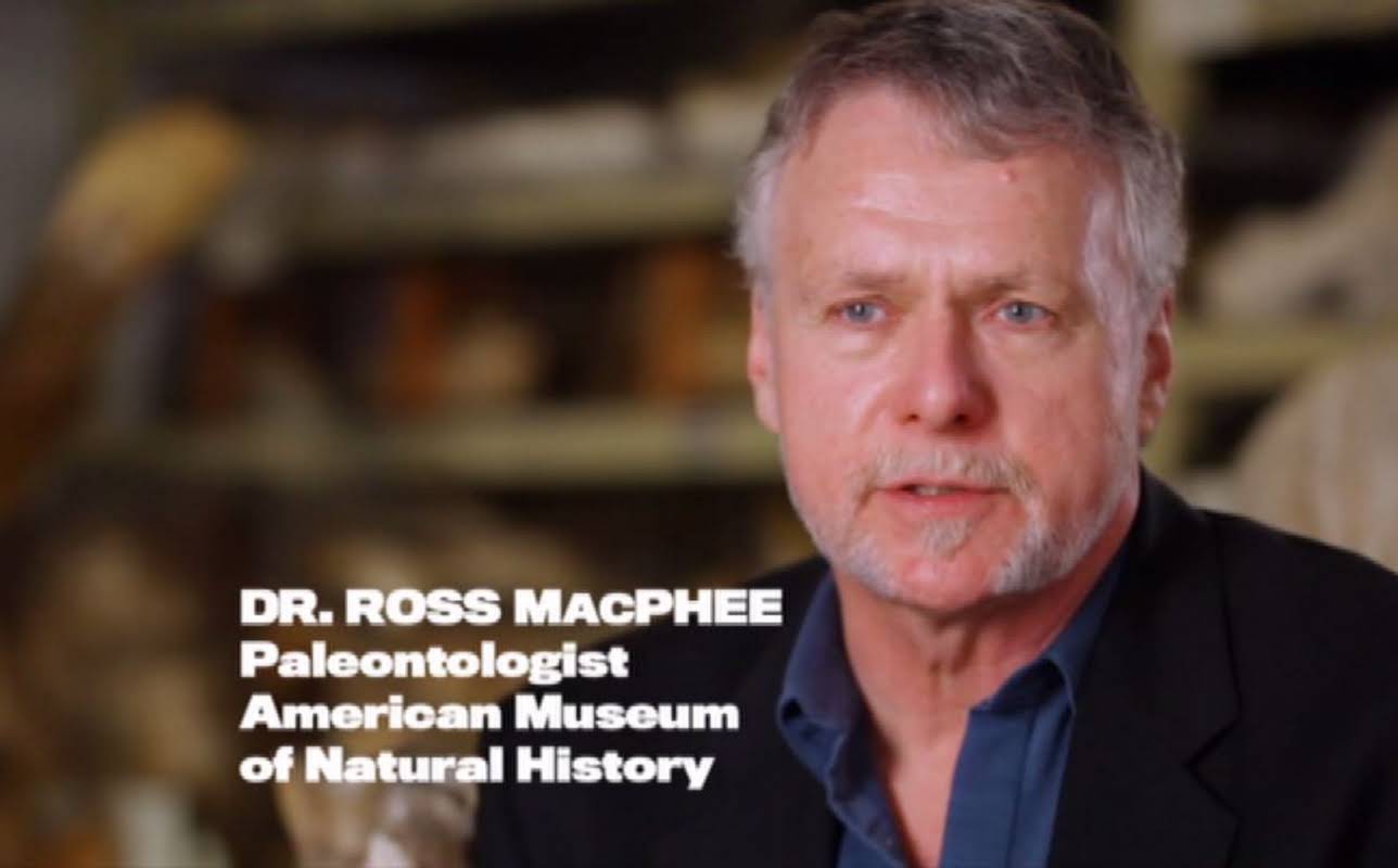 Ross MacPhee