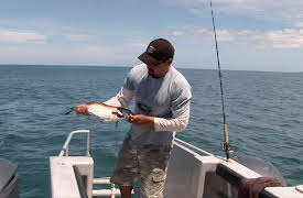 Gone Fishin S4: Extreme Measures, Hokianga part two