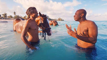 6:30 PM: Clive Myrie’s Caribbean Adventure (S1) | BBC Two | 9/17 2026