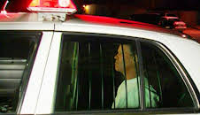 Medical Detectives - Geheimnisse der Gerichtsmedizin