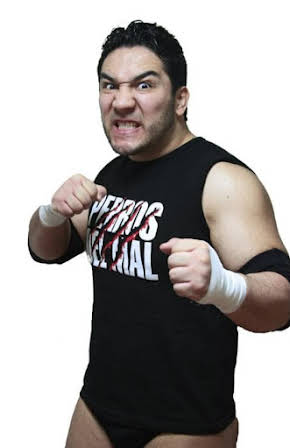 Perro Aguayo Jr. as 