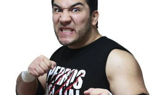 Perro Aguayo Jr.