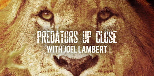 Predators Up Close with Joel Lambert Season 1