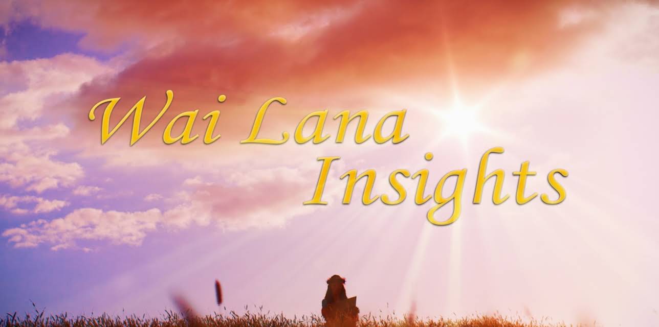 Wai Lana Insights