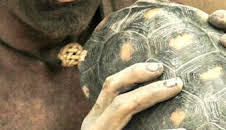 Aventura en pelotas: Al filo de la locura