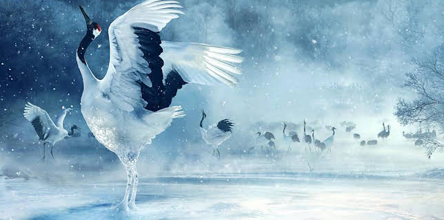 3:30 PM: Asia (S1) | BBC One | 1/31 2026