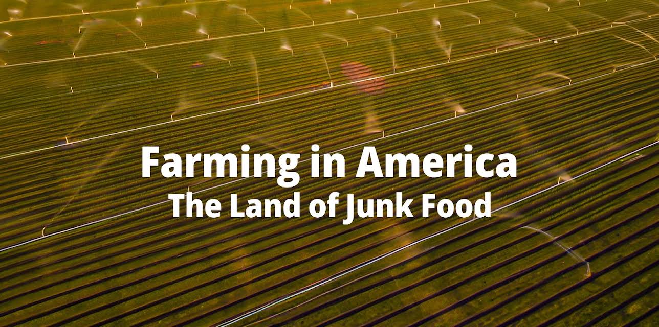 Farming in America The Land of Junk Food (2025)