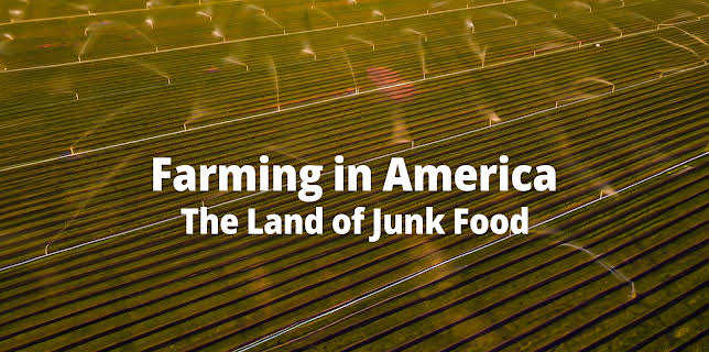 Farming in America The Land of Junk Food (2025)