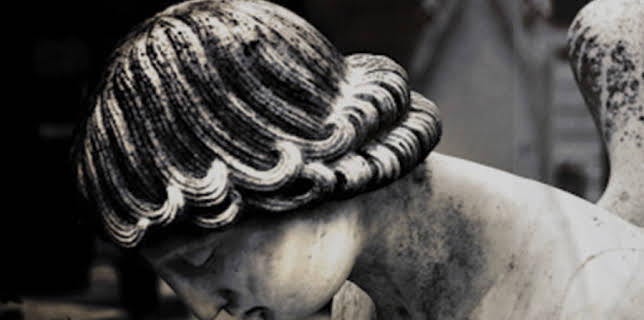 Beyond Our Sight (2015)