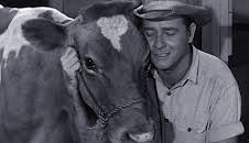 Hometown Makeover - Wir renovieren unsere Stadt