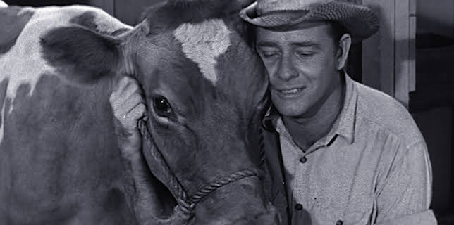 07:10: Hometown Makeover - Wir renovieren unsere Stadt | Sixx | 1/7 2026