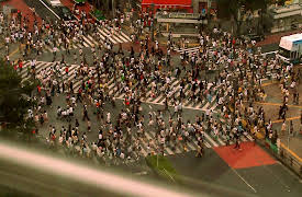 Welcome to the Nanoworld: Nanos on the Inside