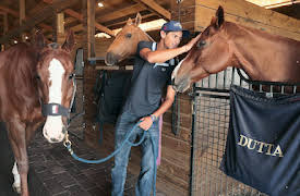 Polo: Ära, berömmelse och hästar: Hög press