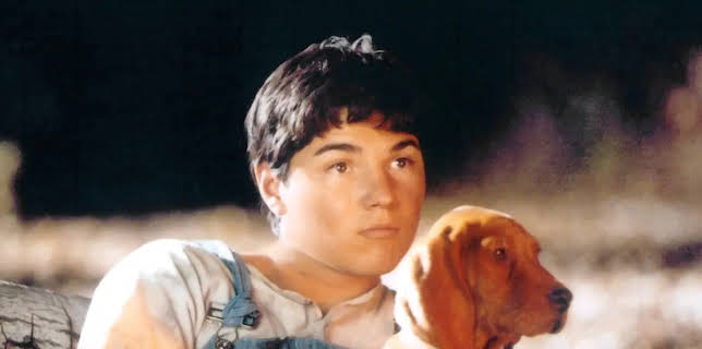 Where the Red Fern Grows (2021)