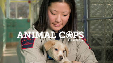 12:15: Animal Cops Philadelphia (S12 E11) (S12) | Animal Planet | 11/10 2025