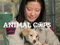Animal Cops Philadelphia