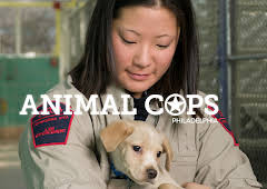 Animal Cops Philadelphia