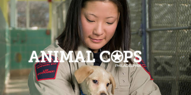 03:00: Animal Cops Philadelphia (S12 E1) (S12) | Animal Planet | 11/4 2025