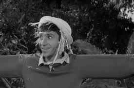 Gilligan's Island: The Complete First Season: Sound of Quacking